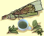 picture of khat