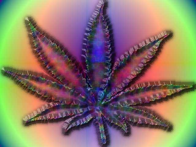 <img:http://www.drugs-plaza.com/pictures/wallpapers_with_drugs/weed_with_colours.jpg>