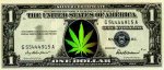 marijuana dollar