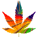 Weed Pictures