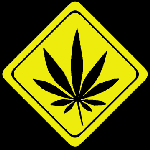 marijuana leave