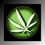 marijuana leave
