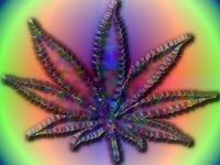 Trippy Weed Wallpaper